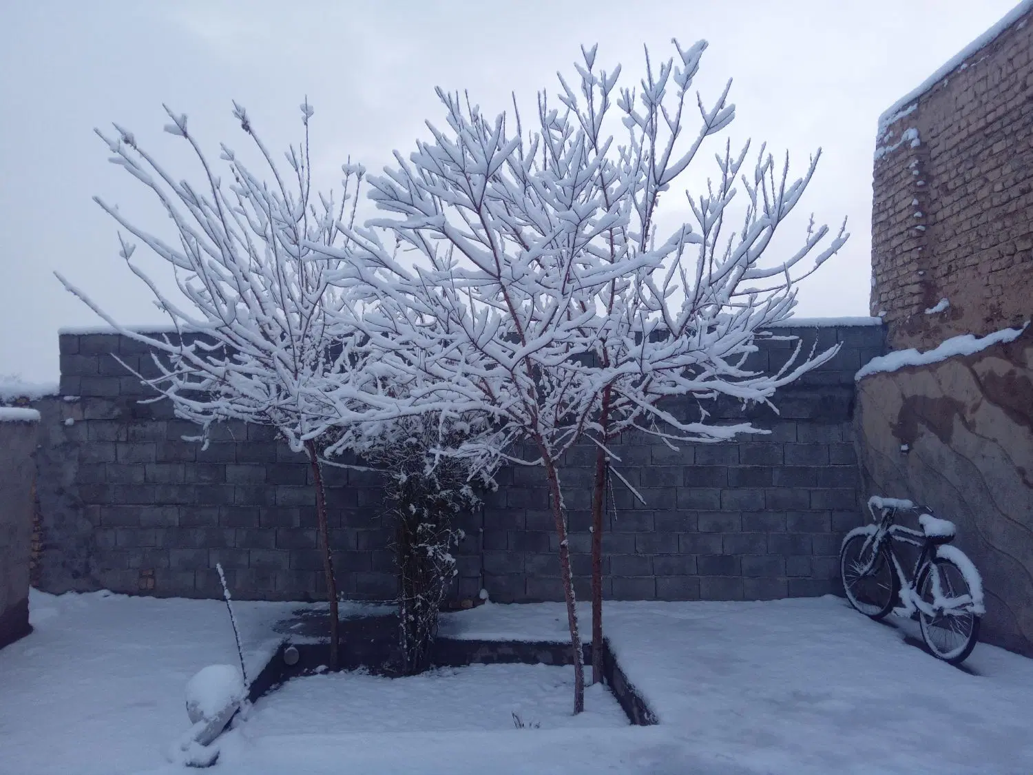 خانه قدیمی