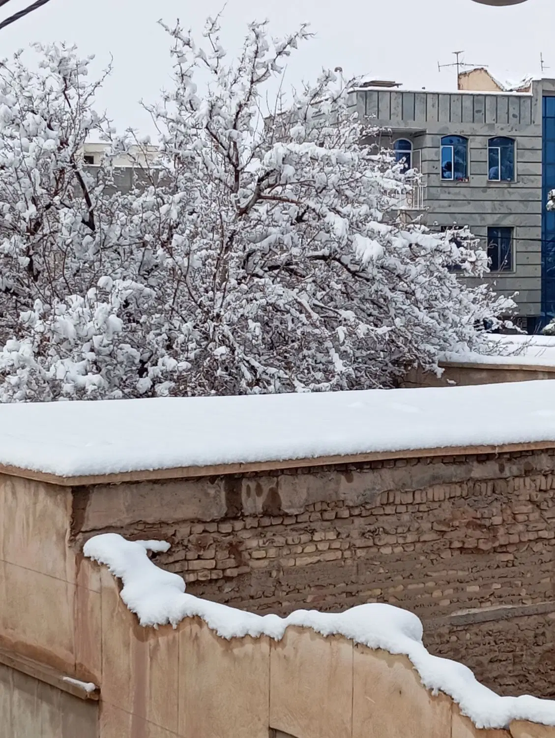 ۲۰۰‌متر‌زمین خمین  روستای فرنق‌