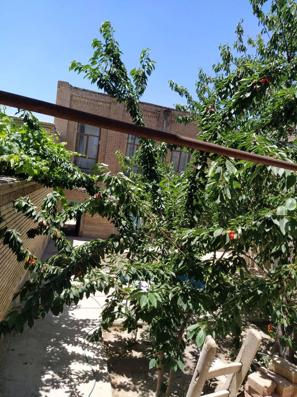 باغچه در خلجان