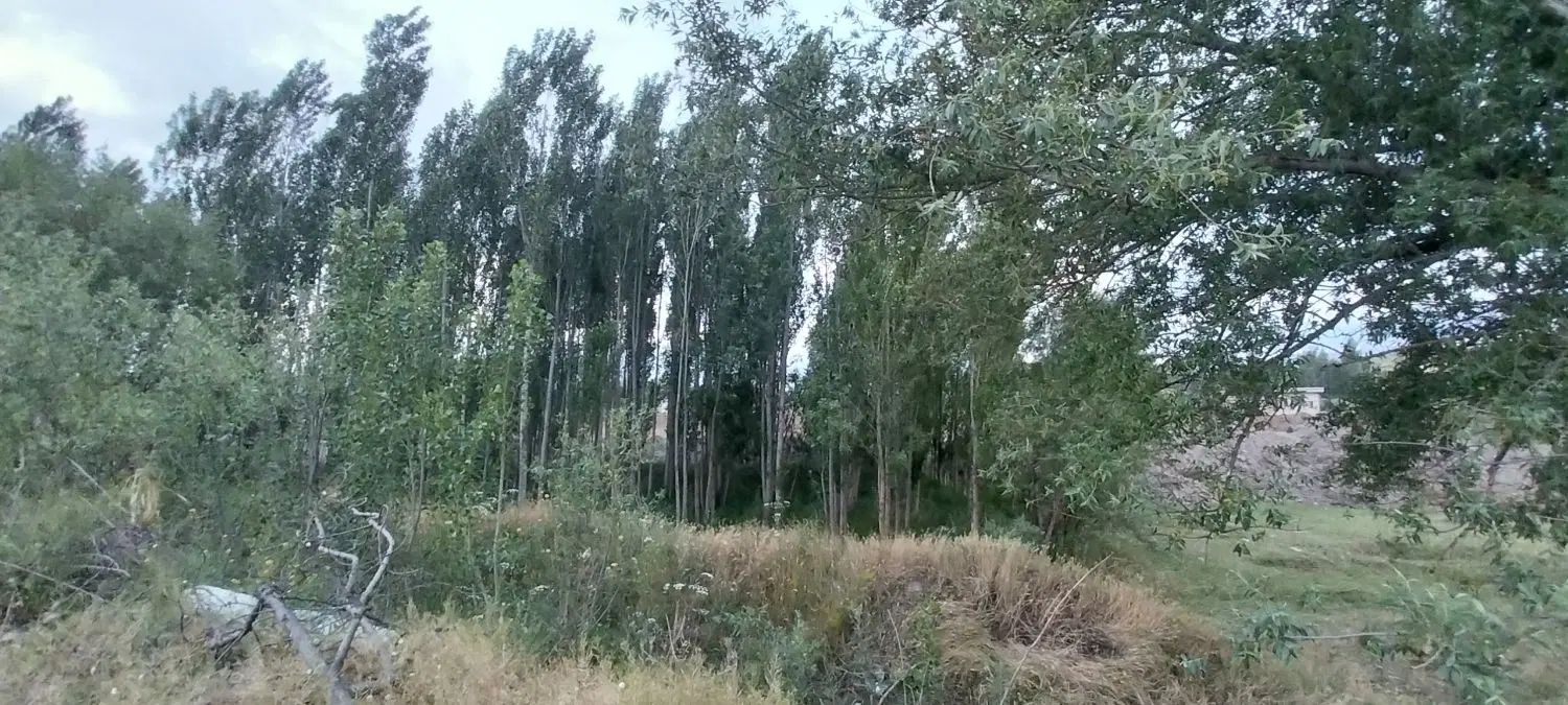 زمین باقیمت استثنایی وقیمت مناسب در جاده ورزقان
