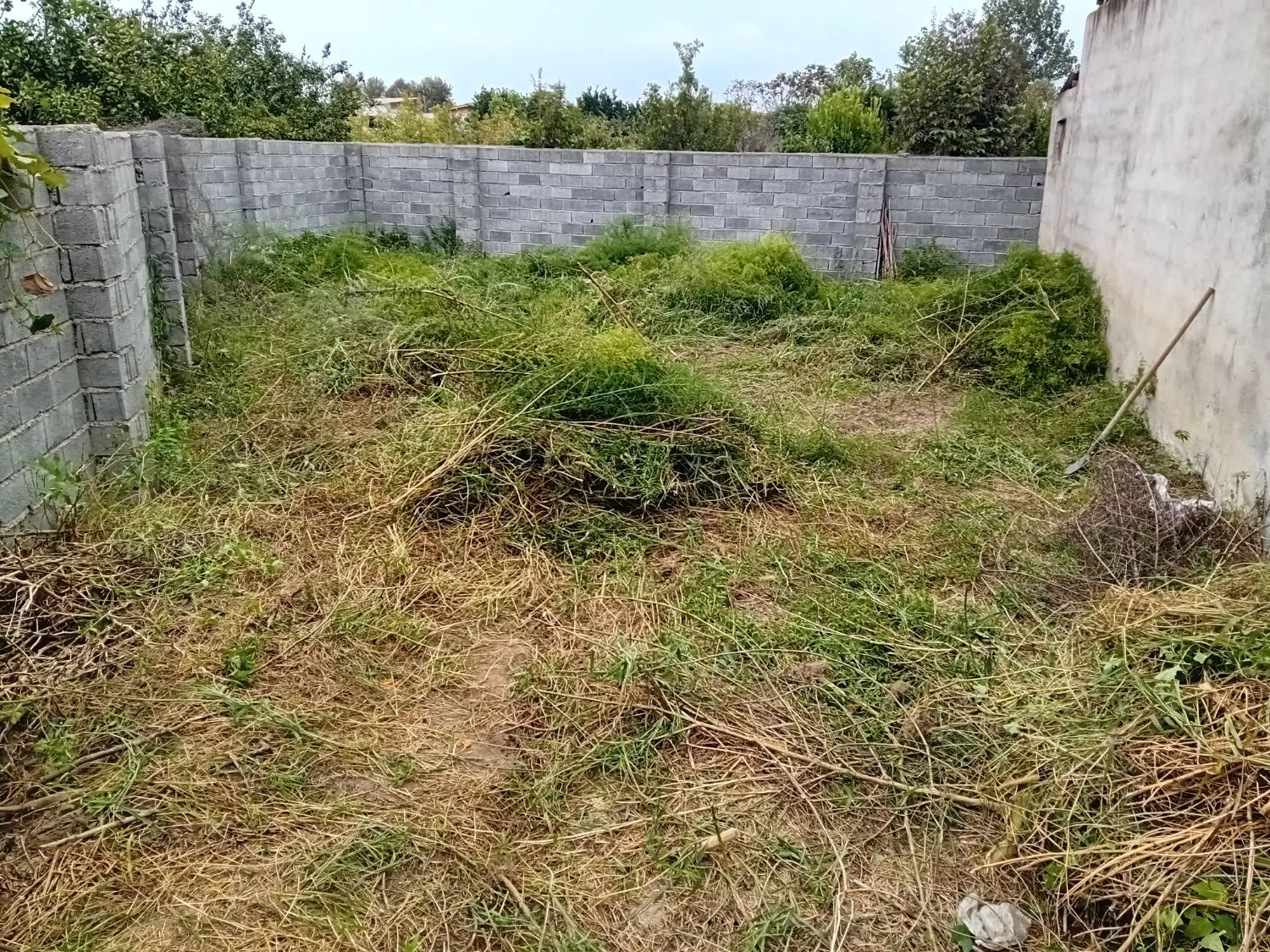 زمین ۱۴۰ متری