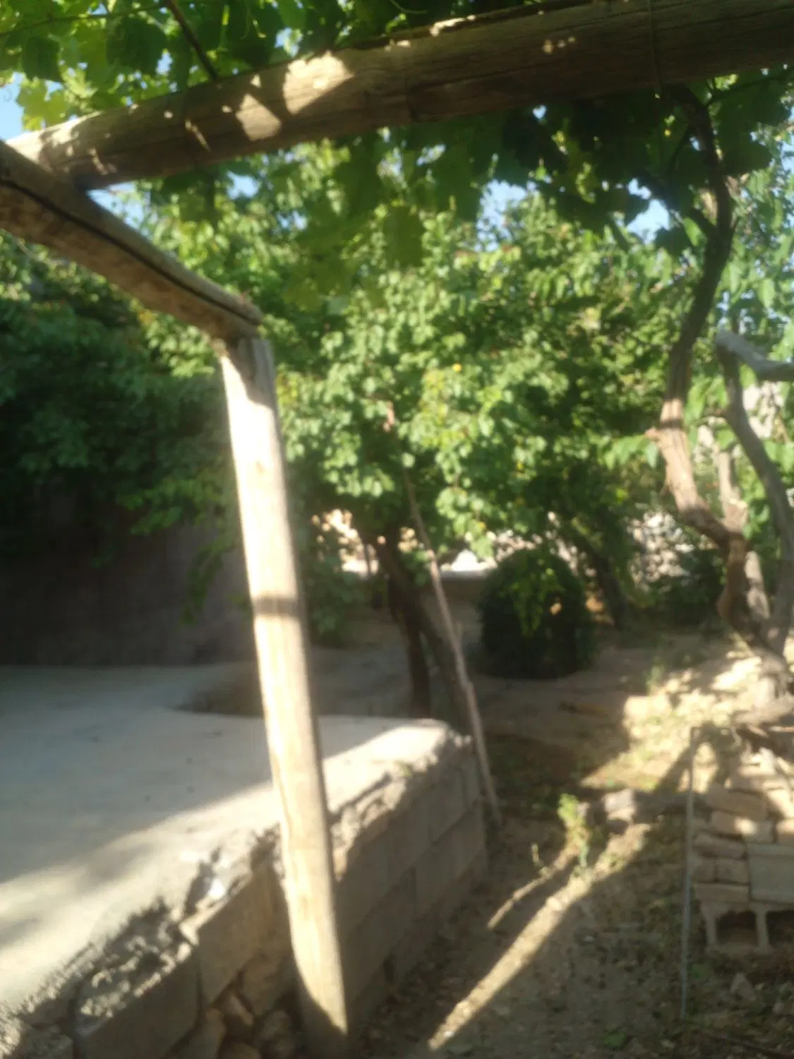 اجاره روزانه  وهفتگی منزل مسکونی