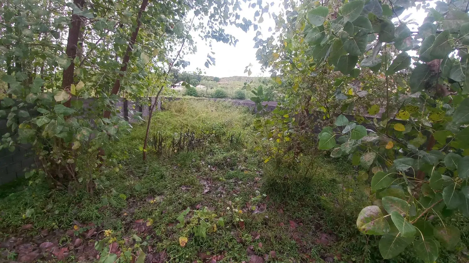 زمین کاملا مسکونی