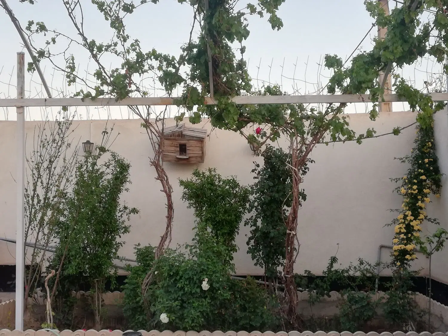باغ ویلا ورامین روستای باغخواص