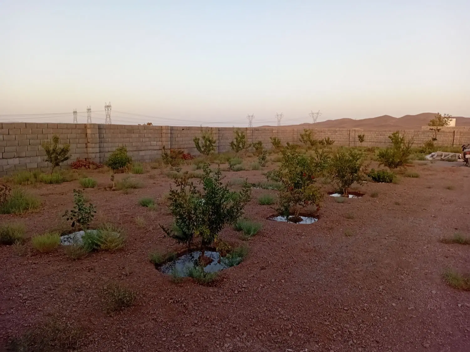 فروش باغ در جهاد آباد