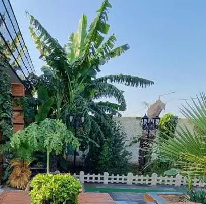 فروش خانه سرخه صالح مشتت