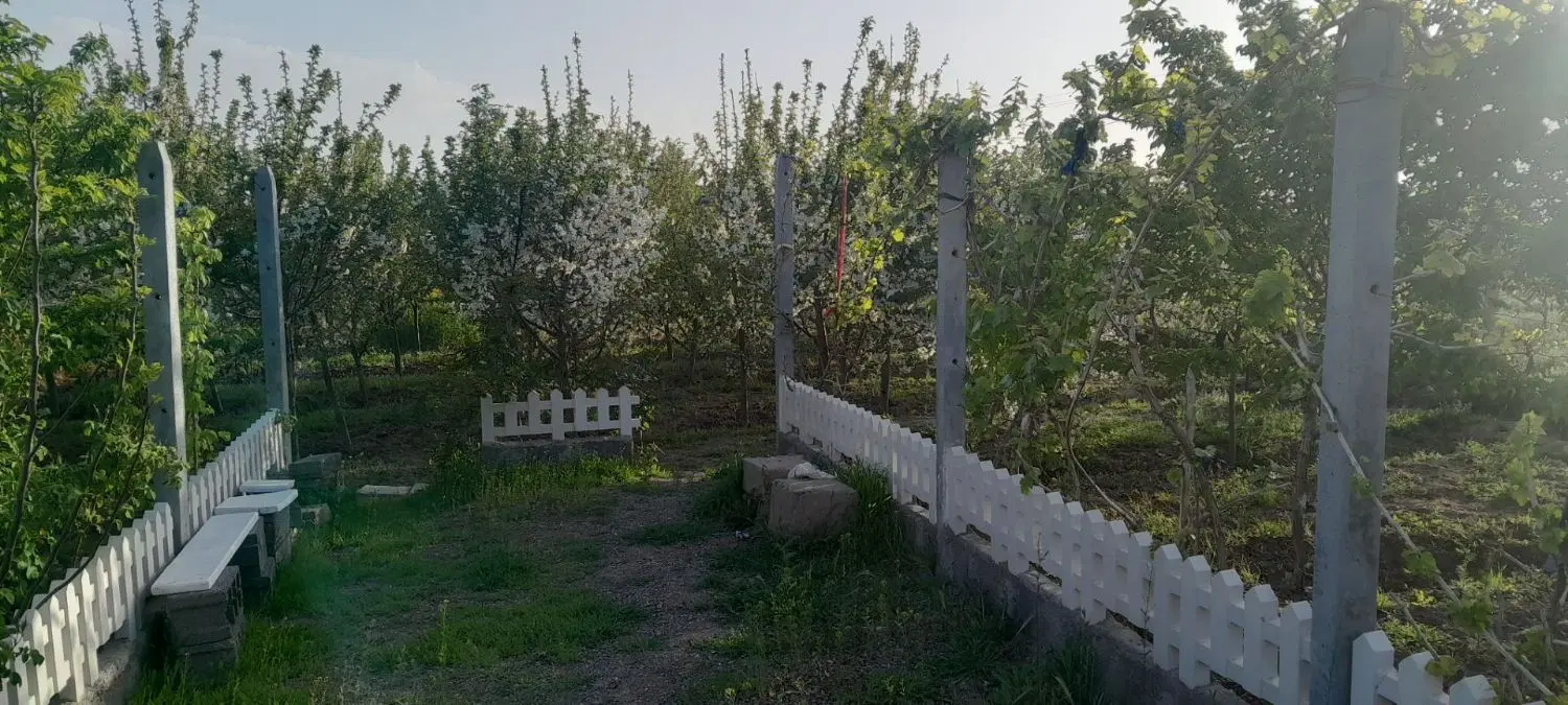 باغ ابتدای روستای فوشنجان