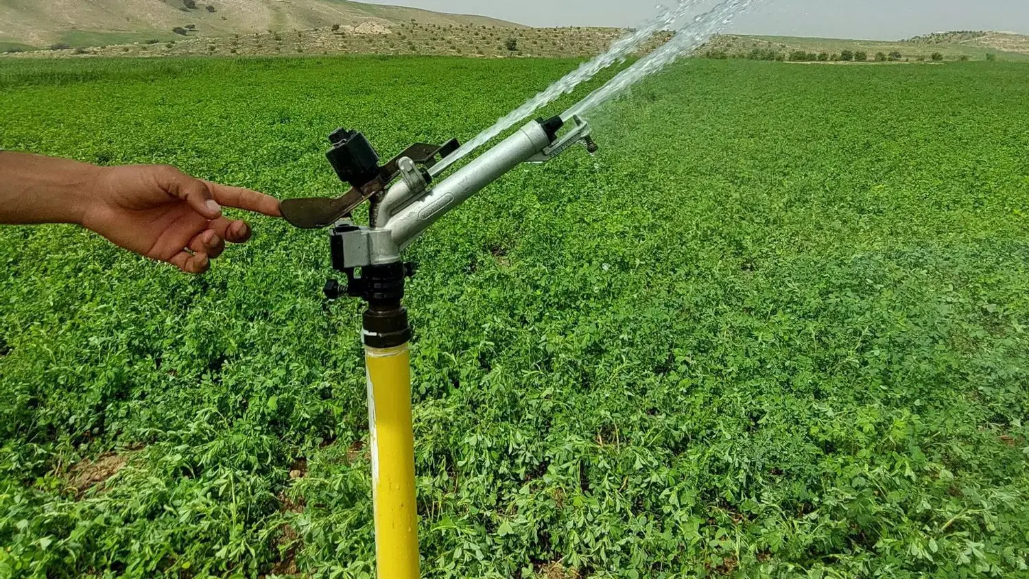 8 هکتار زمین آبی برای اجاره