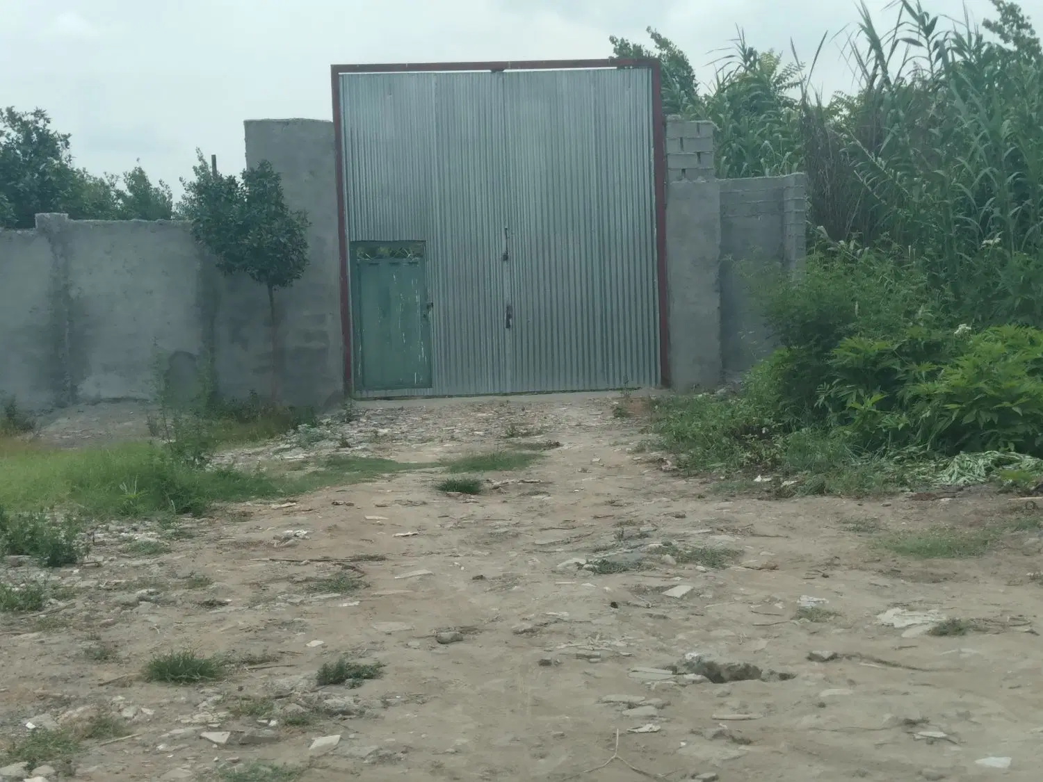 ۲۲۲۹ متر باغ پرتقال بابل کمربندی شرقی