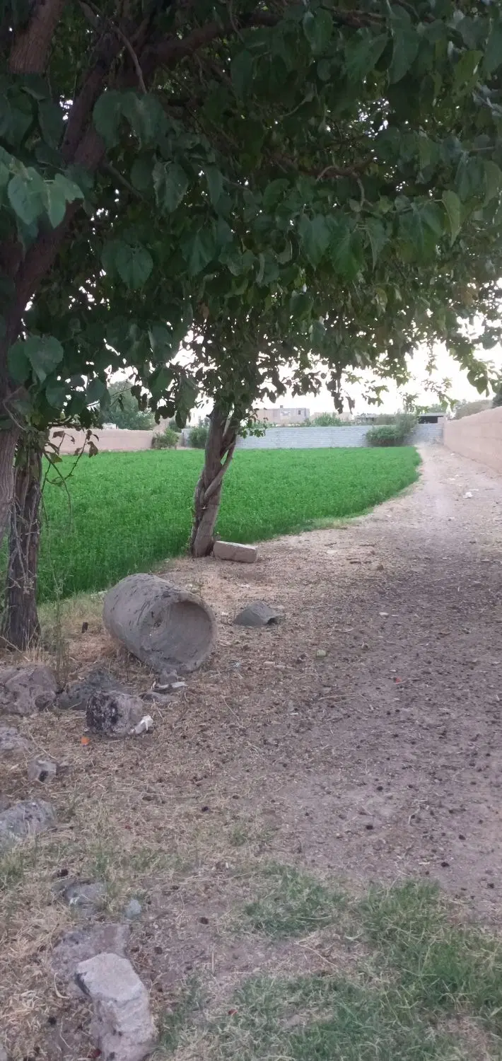 فروش زمین جهت باغ اسب داری  انبار گاراژ...