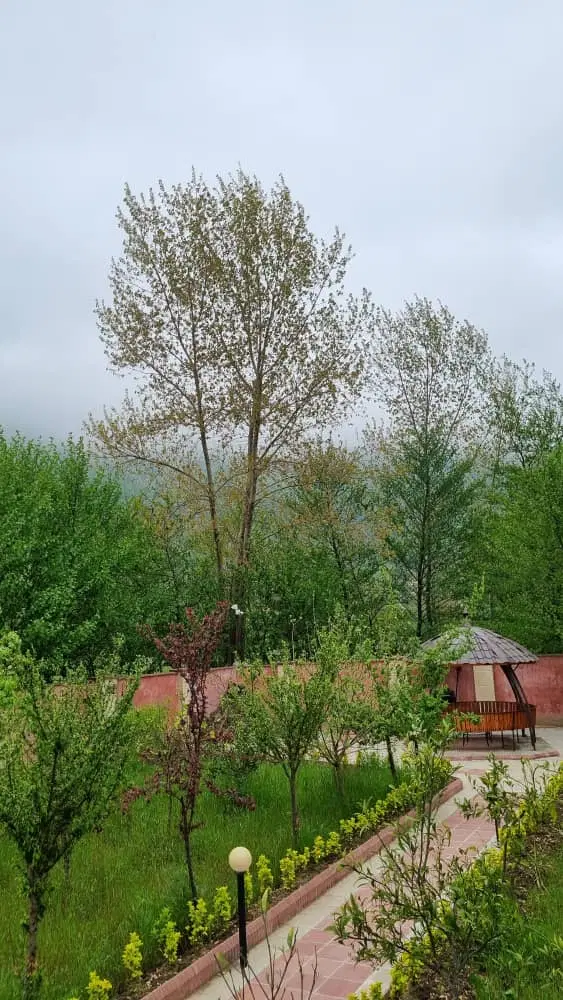 زمین ارتفاعات هاشمیه
