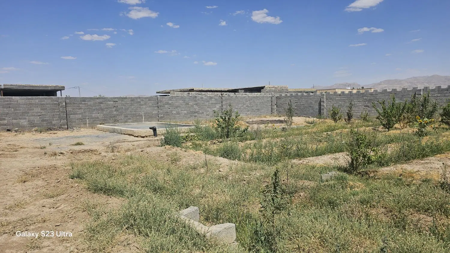 باغ چهاردیواری