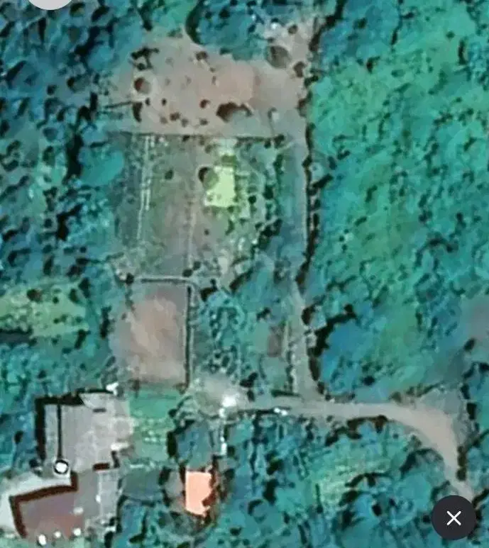 زمین باغی