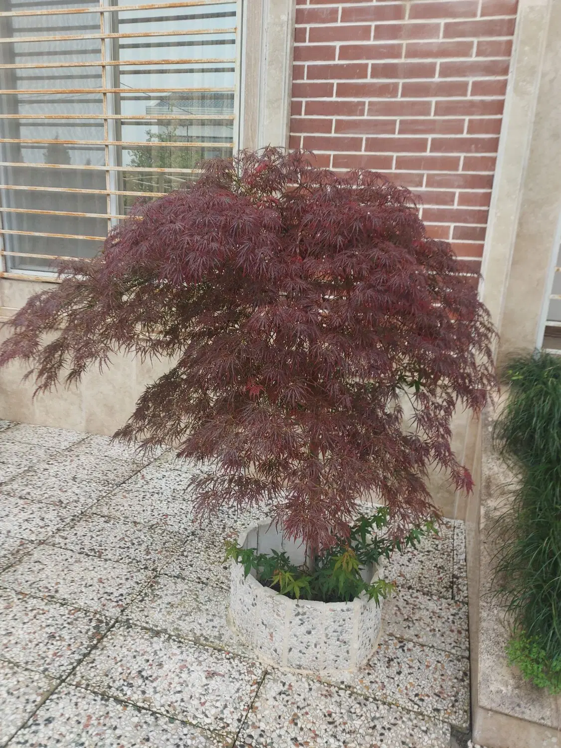 کلنگی ، مسکونی و تجاری