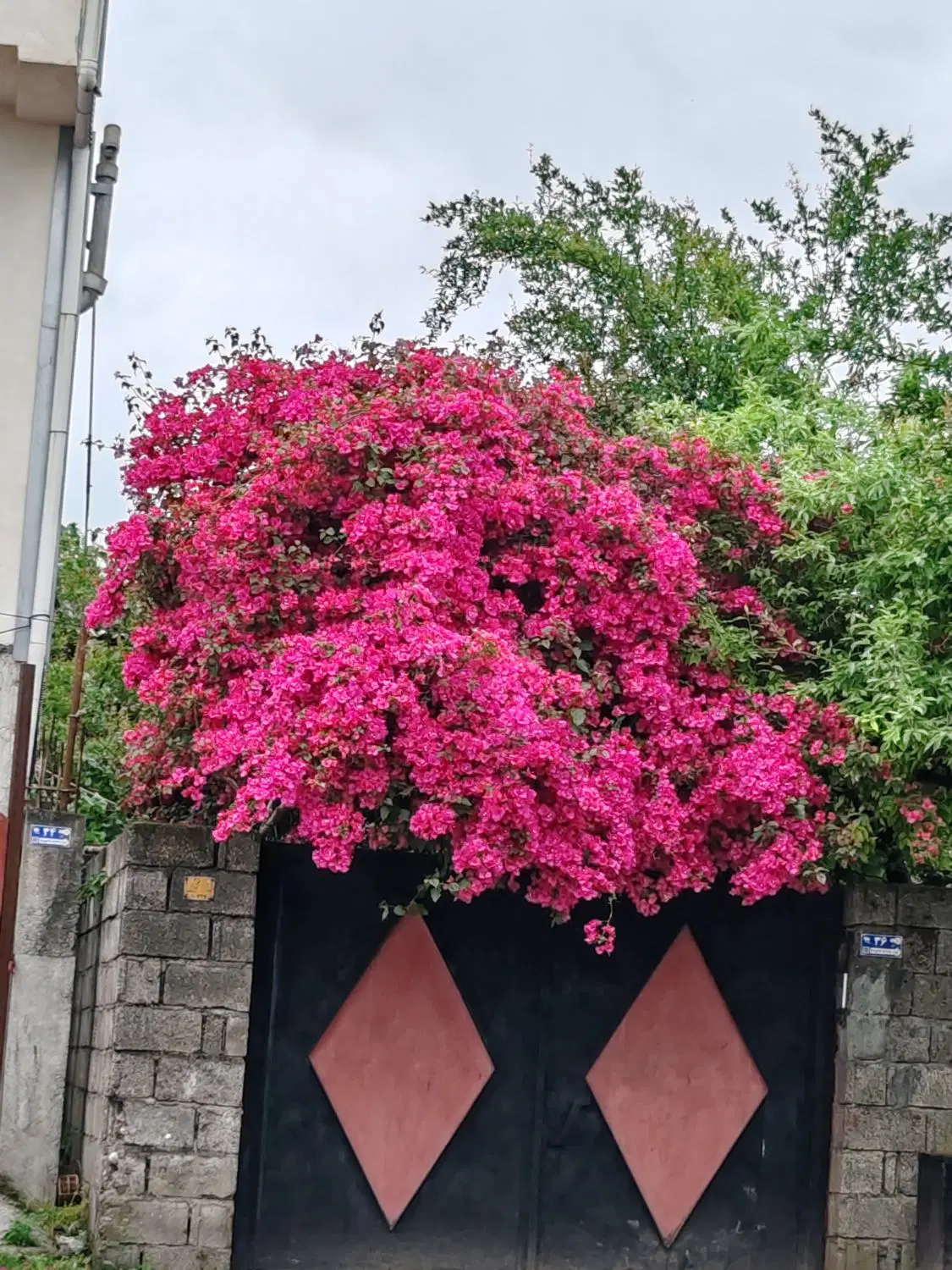 زمین مناسب خانه باغ برای سکونت دائم