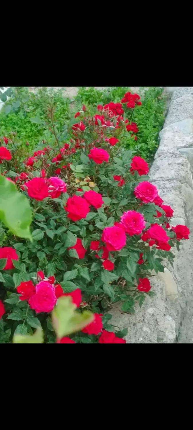 فروش باغ ویلایی اسپیران