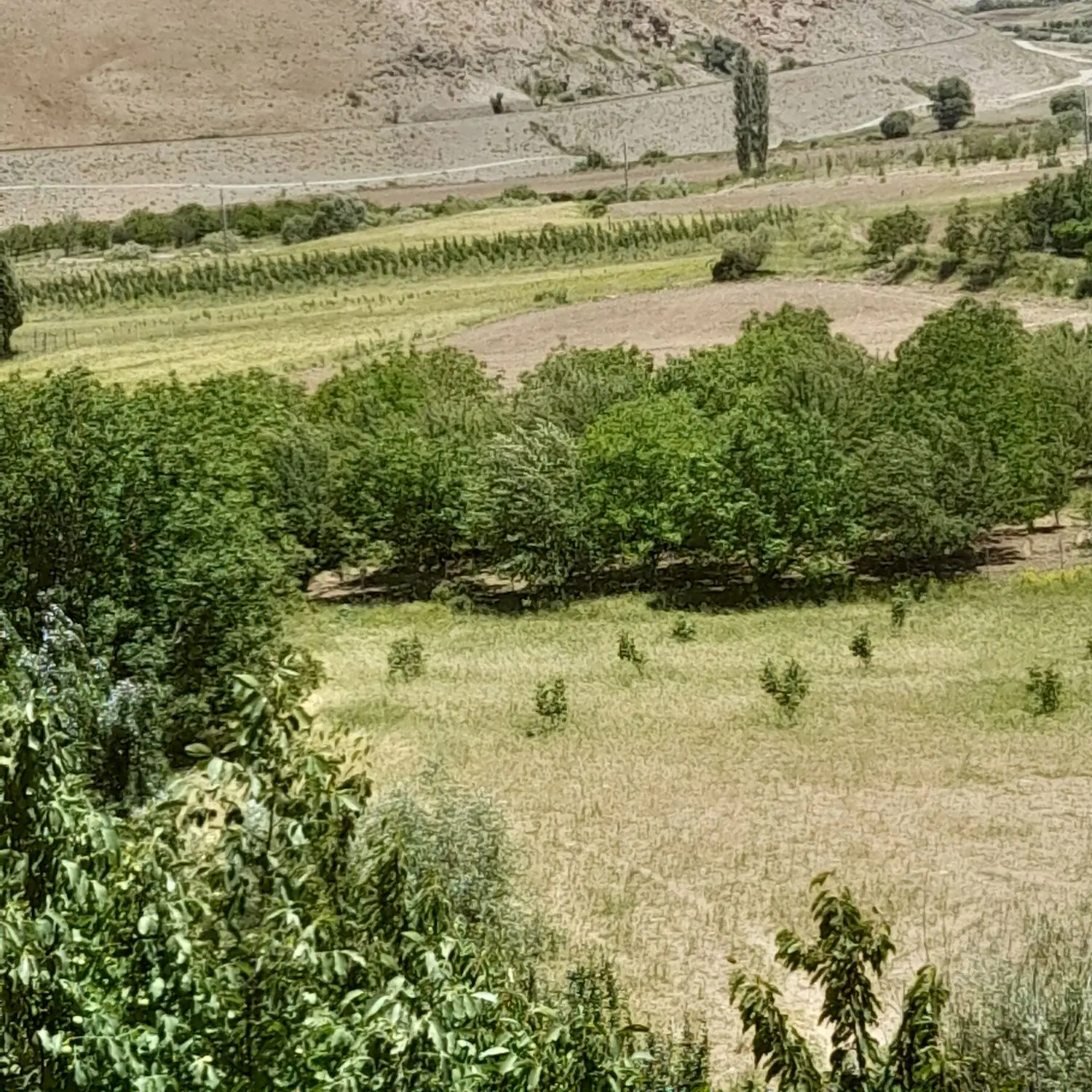ملک زمین استادیوم فرهنگیان