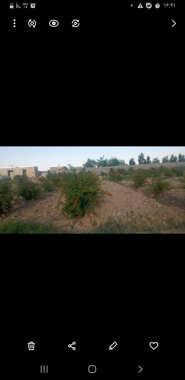 باغ الوسجرد