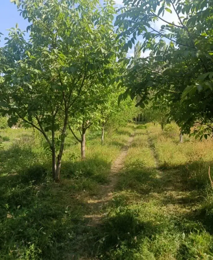 فروش زمین