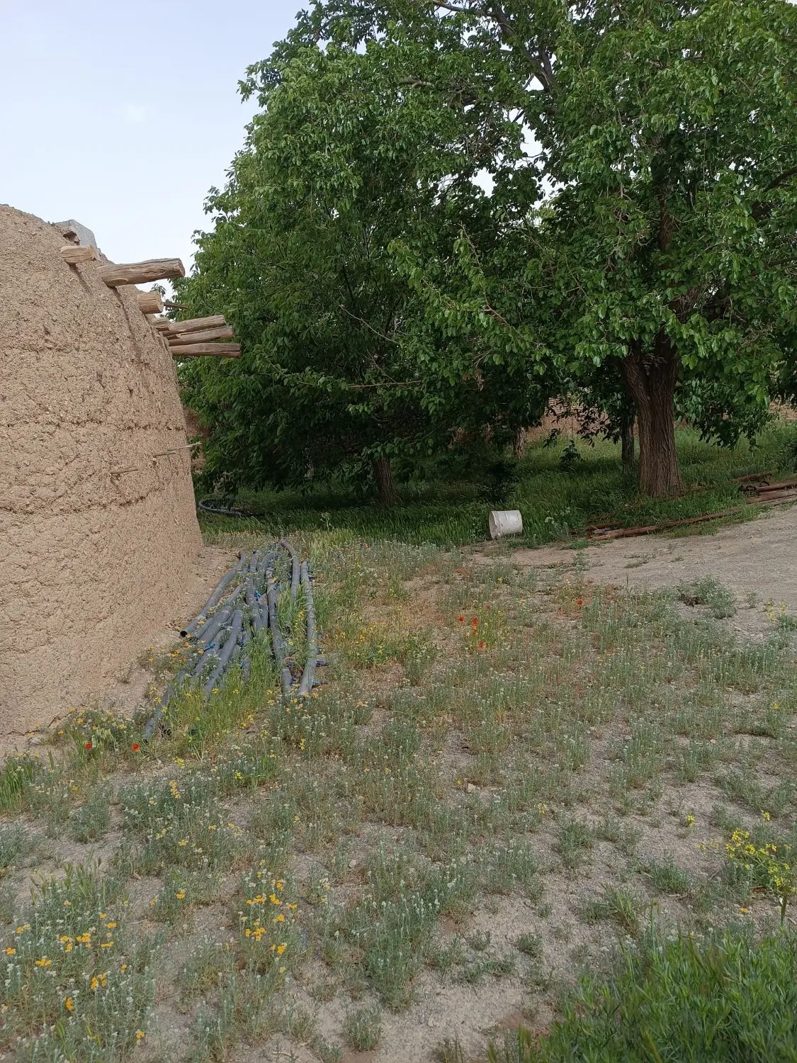 زمین مسکونی روستای بزیجان(سعادت آباد)