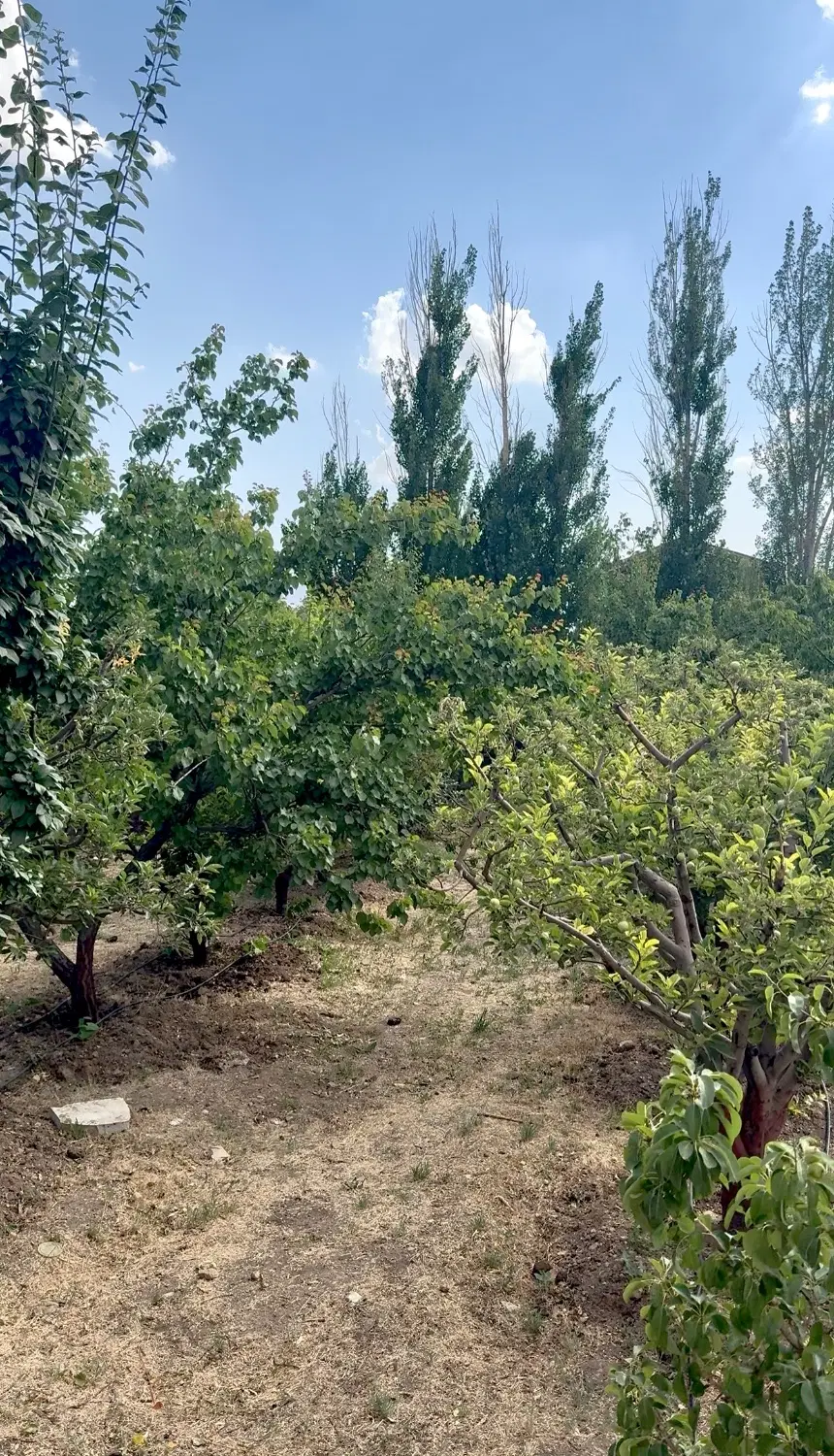 باغ دور دیوار آبسرد فاز۱ الهیه