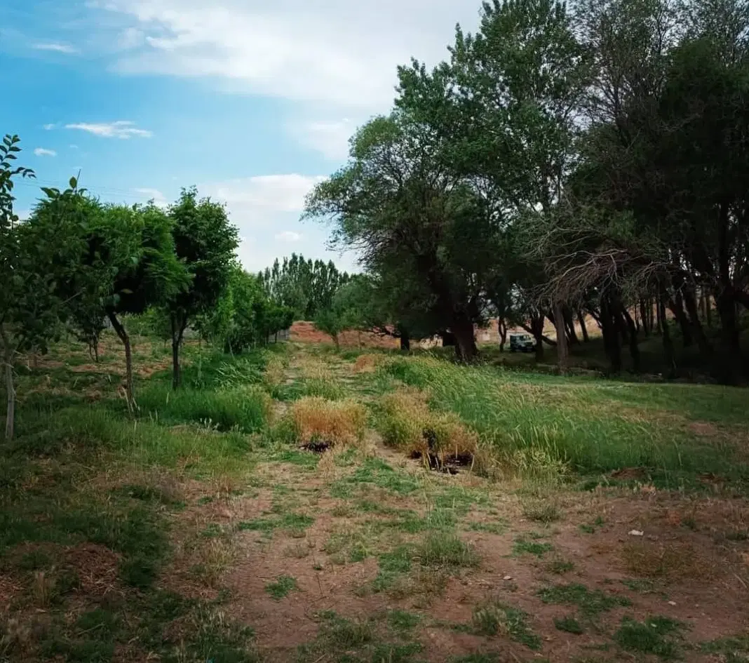 زمین کودیان