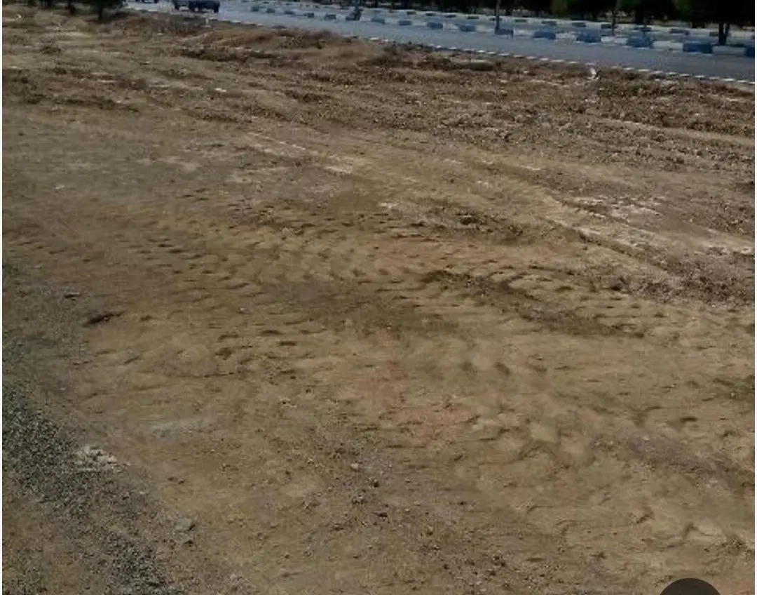 زمین
