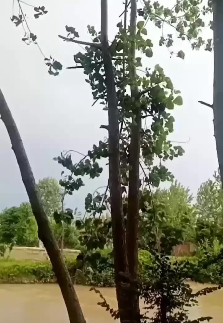 فروش خونه باغ ۱۰۰۰ متری