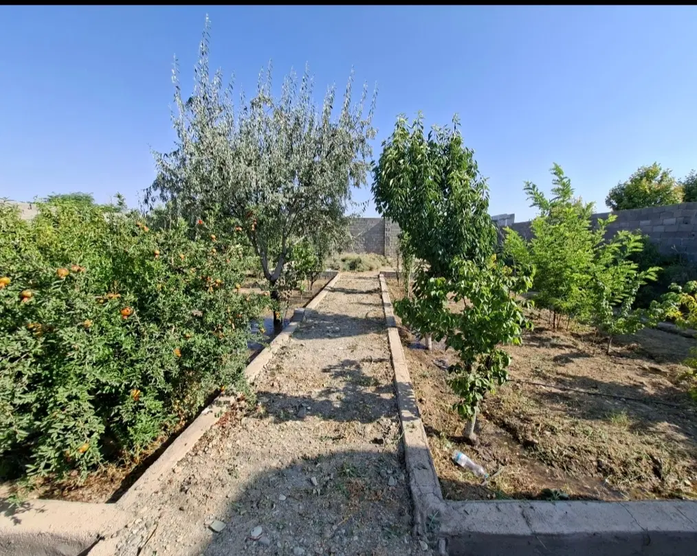 باغچه520متری