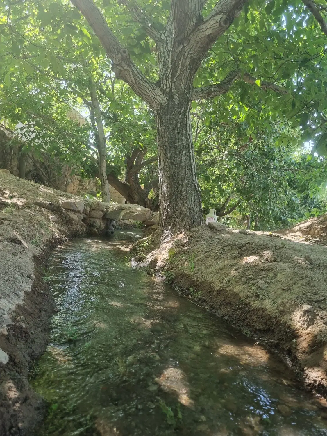باغ در ورنق میندوج
