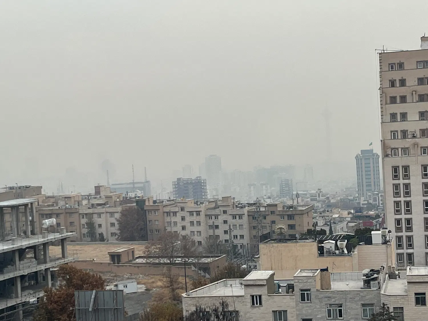 هم خانه