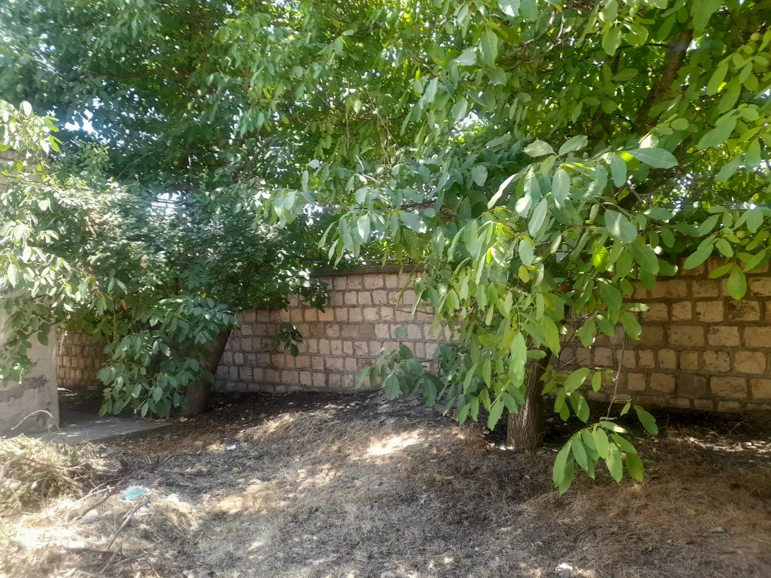 آپا تمان اجاره ای