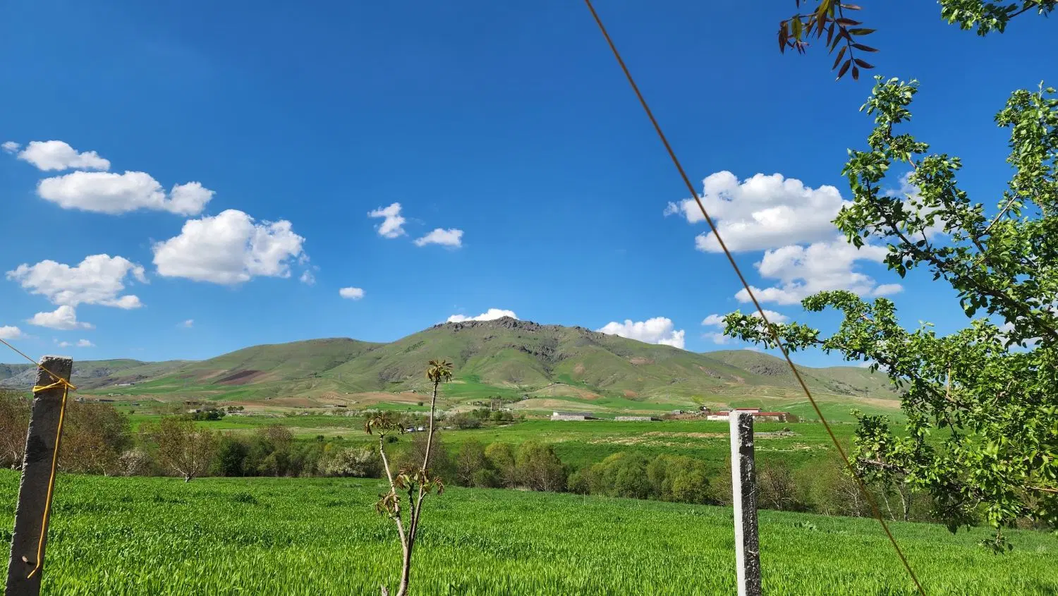 زمین کشاورزی