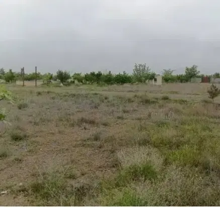 زمین  باغستان ثامن