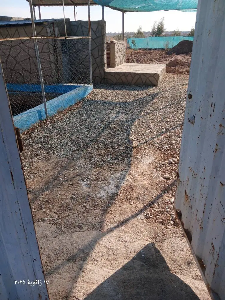 فروش زمین مزروعی با مجوز گلخانه وــ
