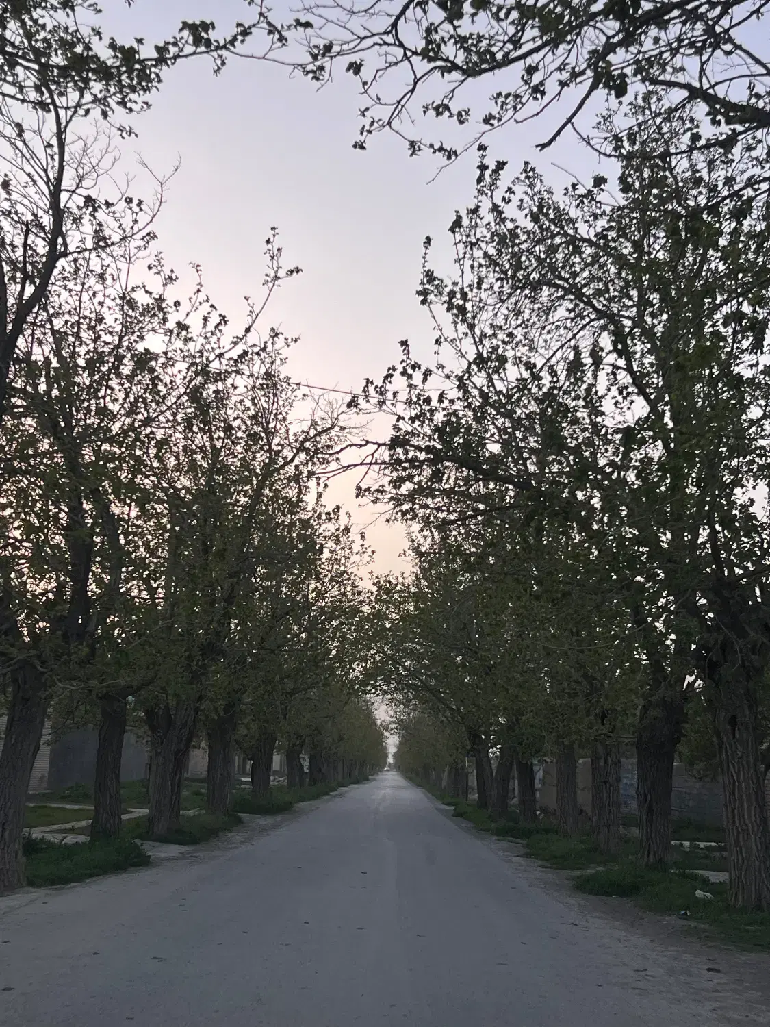 باغ  چهچهه  معاوضه