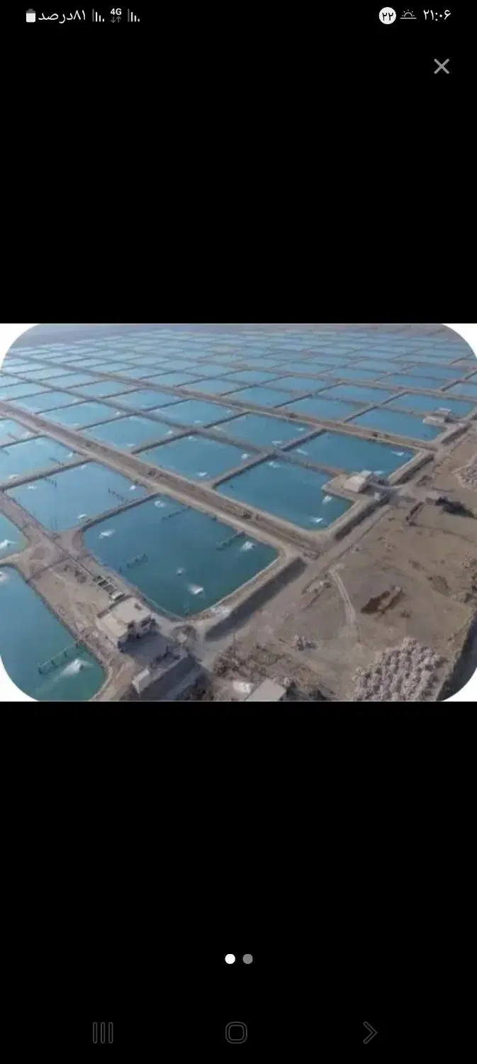 شرکت پرورش میگو