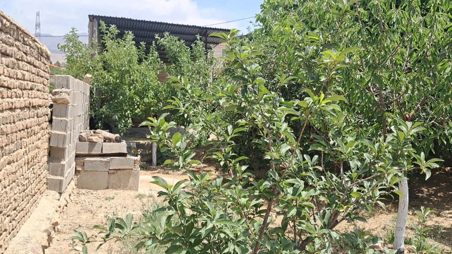 زمین فروشی