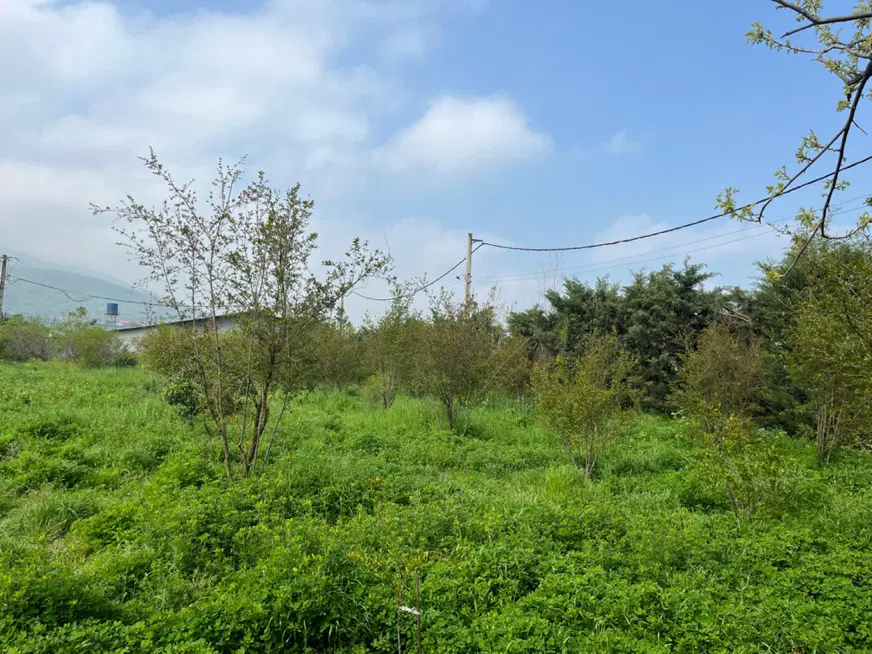 خانه باغ