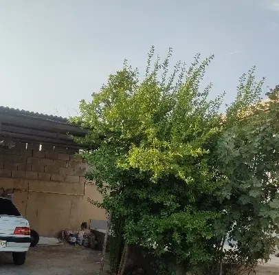 خانه ویلایی فروش