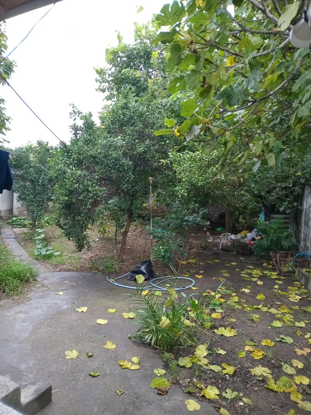 فروش خانه سرا
