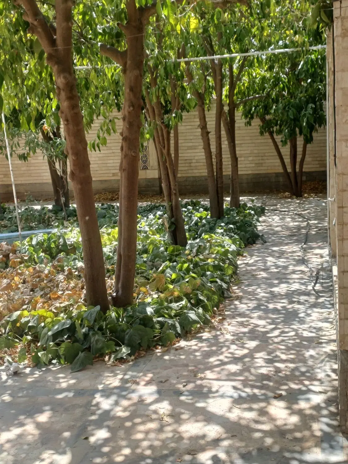 منزل ویلایی 365 متری قصردشت