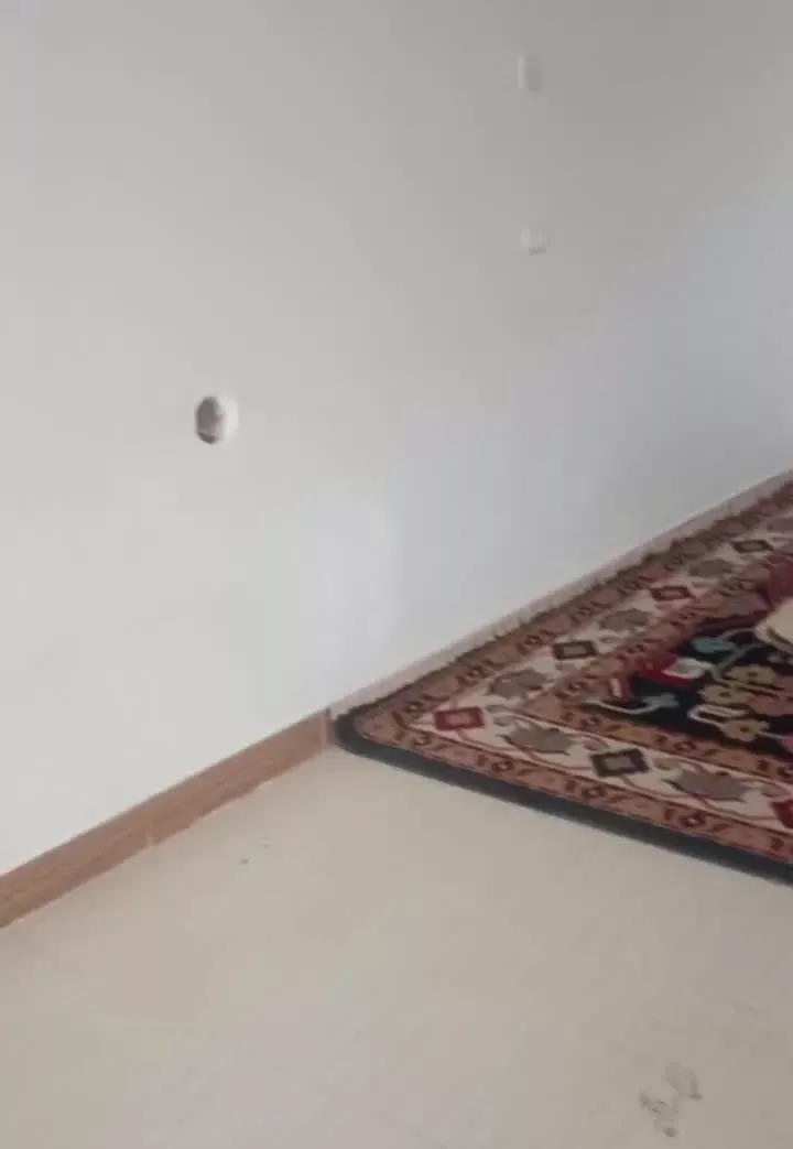 خیابان رهبری جنب پارک شهدا کوچه زکی