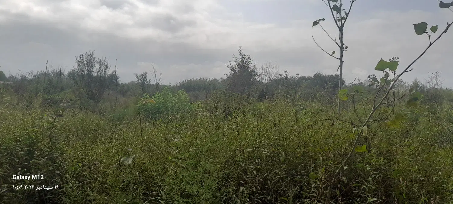 یک هکتار سند دار