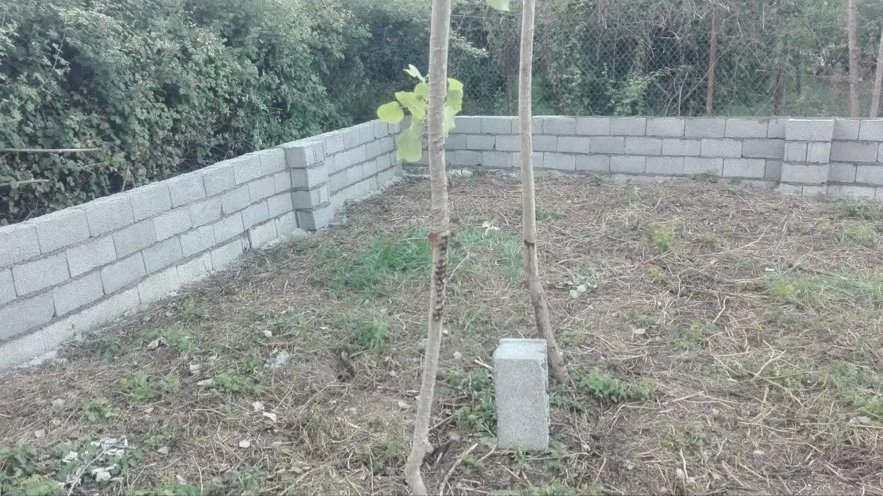 ۳۰۰متر زمین در هادیکیاشهر کلاچای
