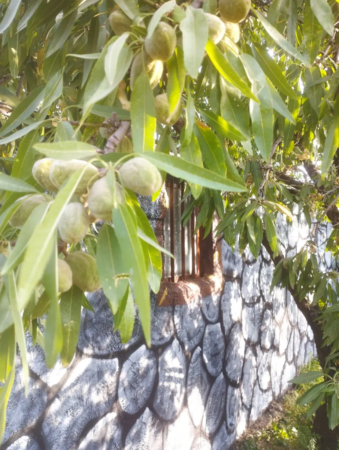 باغ تفریحی به امکانات
