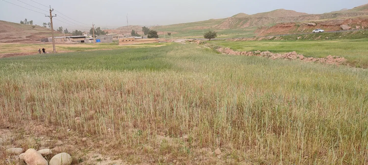 فروش زمین
