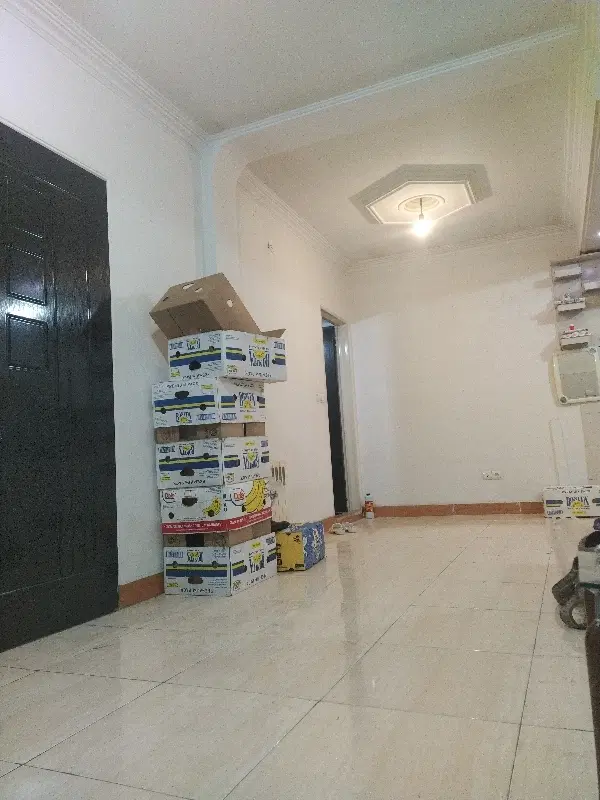 همخونه خانم موجه
