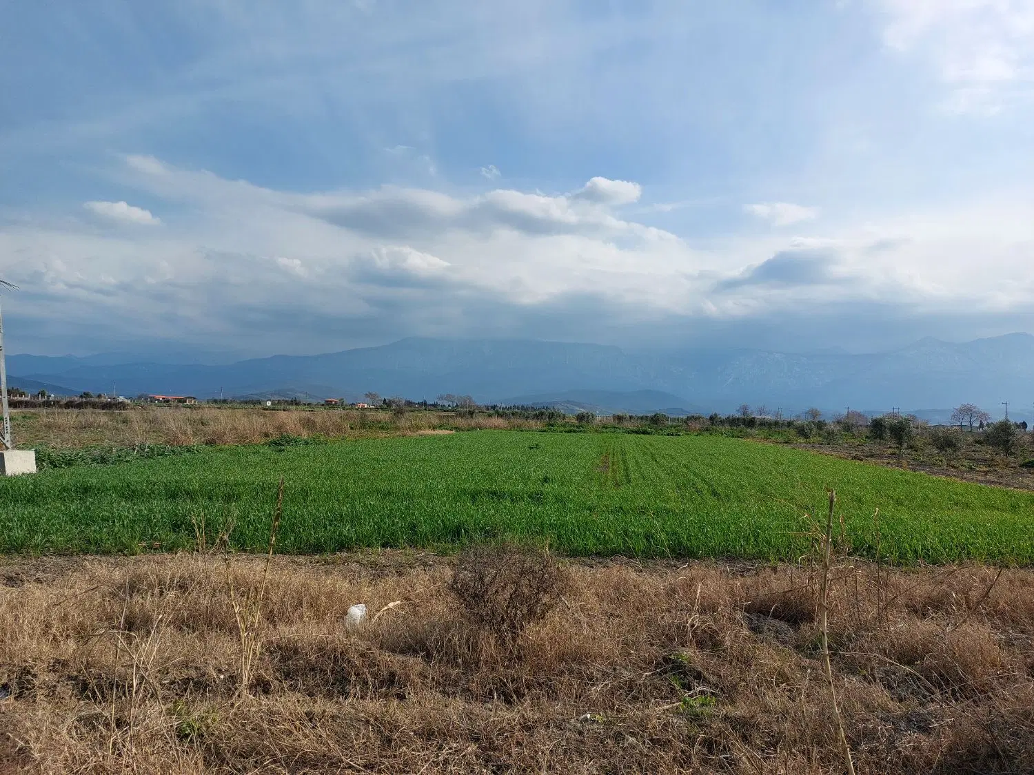 فروش زمین کشاورزی