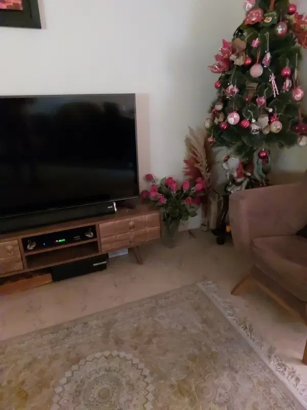 اجاره فقط بصورت ساعتی به خانم